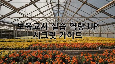 보육교사 실습: 역량 UP 시크릿 가이드