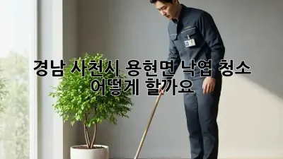 경남 사천시 용현면 낙엽 청소, 어떻게 할까요?
