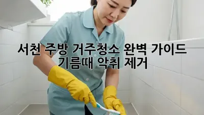 서천 주방 거주청소 완벽 가이드: 기름때, 악취 제거!
